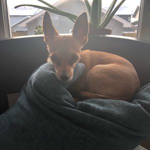 Meet your Posher, Jade